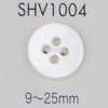 SHV1004 四眼贝壳纽扣