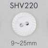 SHV220 两孔贝壳纽扣