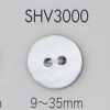 SHV3000 两眼贝壳纽扣