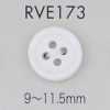 RVE173 四孔 带边 贝壳纽扣