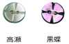 250 两孔 无边贝壳纽扣