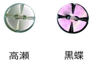 250 两孔 无边贝壳纽扣