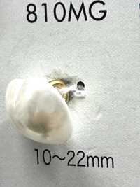 810MG 珍珠感 尿素材料 金色有柄纽扣 DAIYA BUTTON 其他图片