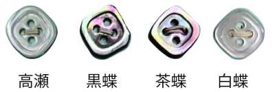 4004H 四眼 带边 贝壳纽扣