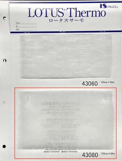 43080 罗塔斯萨莫 (43080)