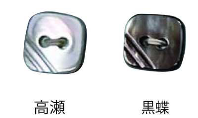 460 两孔 无边贝壳纽扣