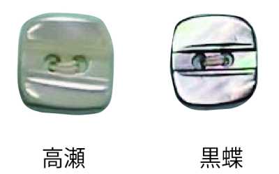 494 两孔 无边贝壳纽扣