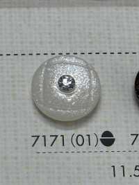 7171 聚酯纤维树脂纽扣 Osaka Plastic Industries（DAIYA BUTTON） 更多图片