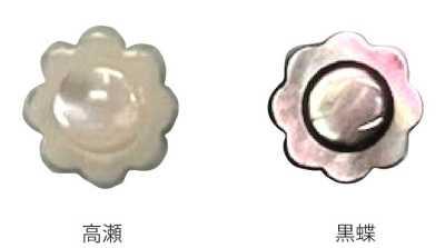 608 花型贝壳纽扣