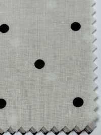 DOT-6000-1 60精纺细布清软件（小点）[面料] HOKKOH北高 更多图片