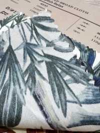 4232 平纹布时尚放松植物[面料] VANCET 奔时代 更多图片