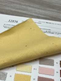12856 20线弹性针织布[面料] SUNWELL三维尔 更多图片