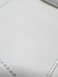 W-6020 Supima 60/2 Burberry P 底露[面料] TIPICO（桑村纺织） 更多图片
