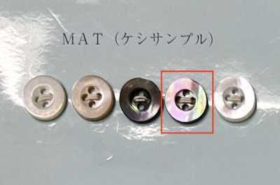 EX601MAT 四孔 带边 茶蝶贝纽扣 哑光