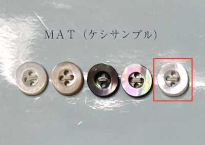 EX701MAT 四孔 有边 白蝶贝纽扣 哑光