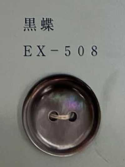 EX508 双孔 带边 黑蝶贝壳纽扣