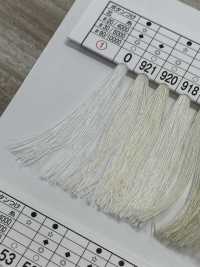 TSP 郡是纺线 郡是 更多图片