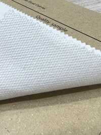 AD8310 8号帆布[面料] Cosmo Textile 更多图片