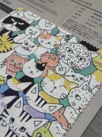 850536 SEVENBERRY®牛津未漂白棉布猫漫画[面料] VANCET奔时代 更多图片