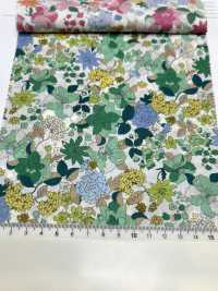 4026-660-4 60 精纺细布 Itome 中花[面料] HOKKOH北高 更多图片
