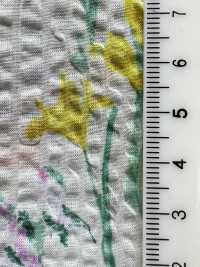 7026-620-4 80 精纺细布 Miracle Wave 植物[面料] HOKKOH北高 更多图片