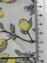 KTS6951 柠檬印花，枝条平纹布[面料] 更多图片