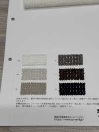 41692 魅力透明蕾丝[面料] SUNWELL三维尔 更多图片