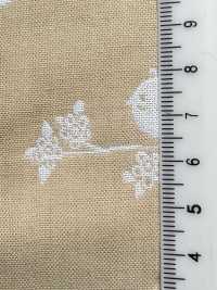 INDIA-465 双层纱鸟[面料] 有延商店 更多图片