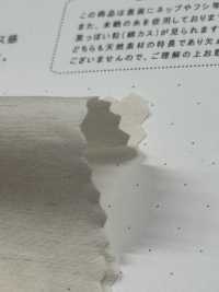 STL-9213 麻高密度平织[面料] 桑村纺织 更多图片