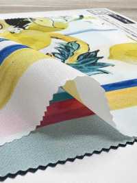 KDP2312SD-58-DD-241 双绉宽幅喷墨打印[面料] 小纹工房(宇仁纤维) 更多图片