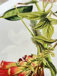 KDP7711-58-DD899 浅色罗缎宽幅喷墨打印[面料] 小纹工房(宇仁纤维) 更多图片