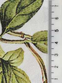 KDP7711-58-DD899 浅色罗缎宽幅喷墨打印[面料] 小纹工房(宇仁纤维) 更多图片