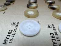 MY162 水牛角四孔树脂纽扣 Osaka Plastic Industries（DAIYA BUTTON） 更多图片
