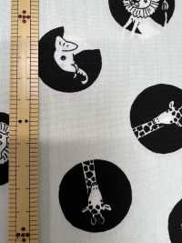 850567 平纹布 Dot[面料] VANCET 奔时代 更多图片
