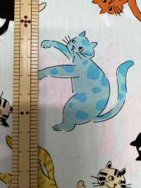 850568 平纹布！猫拳[面料] VANCET 奔时代 更多图片