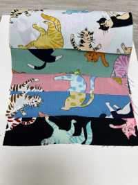 850568 平纹布！猫拳[面料] VANCET 奔时代 更多图片