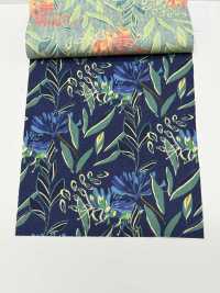 4250 SEVENBERRY®平纹布时尚放松/Puana[面料] VANCET 奔时代 更多图片