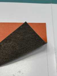 SEEK CALF 锡克教小牛[面料] 长井捻线 更多图片