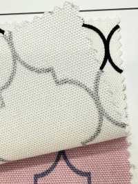 SP5500-DR 摩洛哥牛津（半折）[面料] Cosmo Textile 更多图片