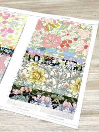 AP55808 Essential Grace 2牛津（圆形）[面料] Cosmo Textile 更多图片