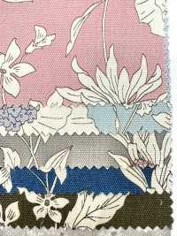 AP55808-DR 牛津《 Essential Grace 2》（对折）[面料] Cosmo Textile 更多图片