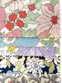 AP55808-DR 牛津《 Essential Grace 2》（对折）[面料] Cosmo Textile 更多图片