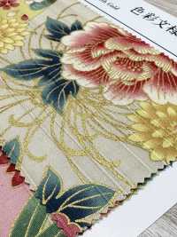 AP55901 彩纹缎纹粗结（圆卷）[面料] Cosmo Textile 更多图片