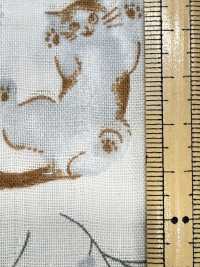 AP55205-DR 粉彩动物双层纱布（对折）[面料] Cosmo Textile 更多图片