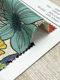 AP55803 C/L 花帆布（卷）[面料] Cosmo Textile 更多图片