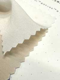 1830 Poly-Tencel™ 莫代尔纤维平纹布[面料] 桑村纤维 更多图片