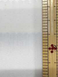 2190 80/2 衬衣布 Tamamushi布雷布[面料] 桑村纤维 更多图片