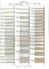 R-5505-25S 麻系列 方平组织 带