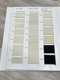 NO5502-2 皮带带边[缎带、带、绳子] RIVER 更多图片