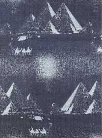 A-1728 丹宁布提花[面料] 有延商店 更多图片